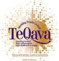 logo1 Teq